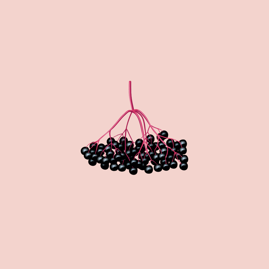Unlocking the Power of Elderberry Syrup: Your Shield Against Seasonal Challenges