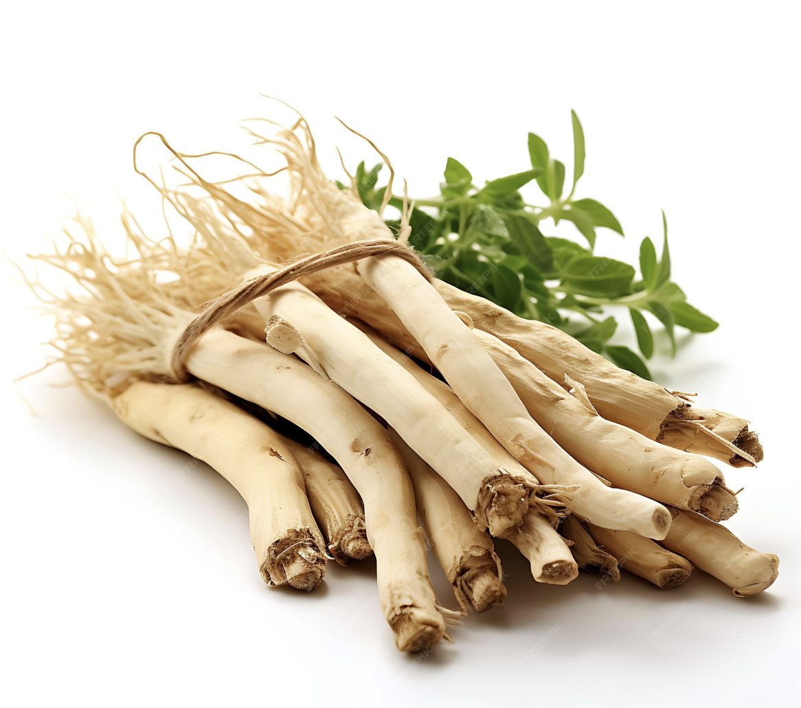 Materia Medica: Astragalus Root